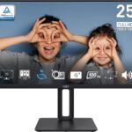 Msi Pro MP251P 25 Inch FHD 100Hz 1Ms Ips Monitor
