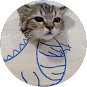 Amr Ali profile picture