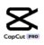  CapCut Pro 1 Month Access